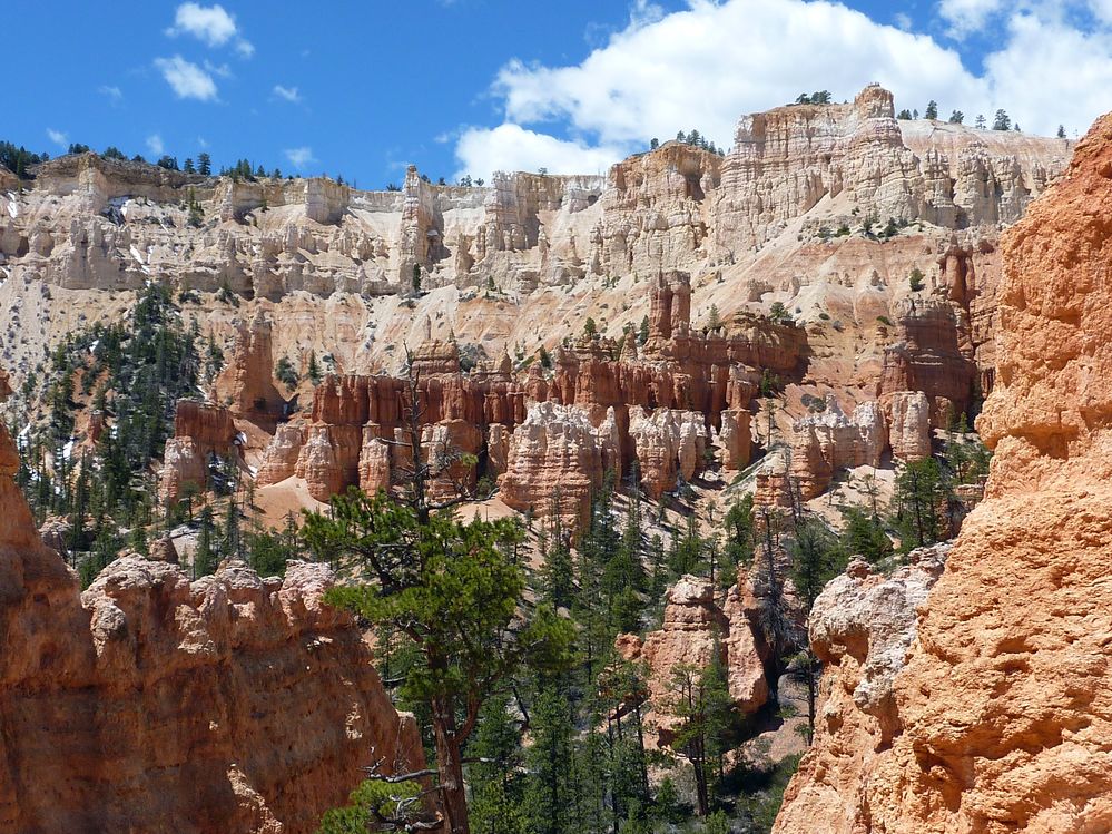 bryce canyon (93).JPG